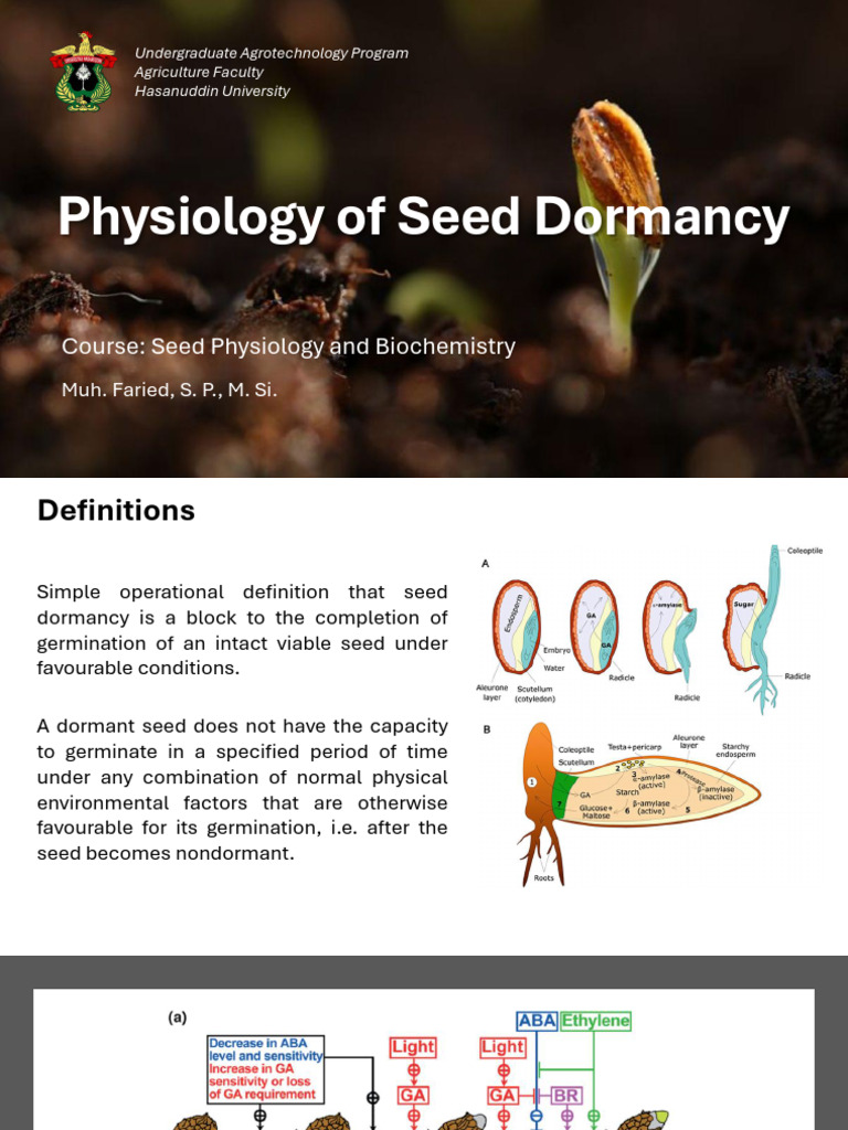 Understanding Seed Dormancy Types | PDF | Seed | Germination