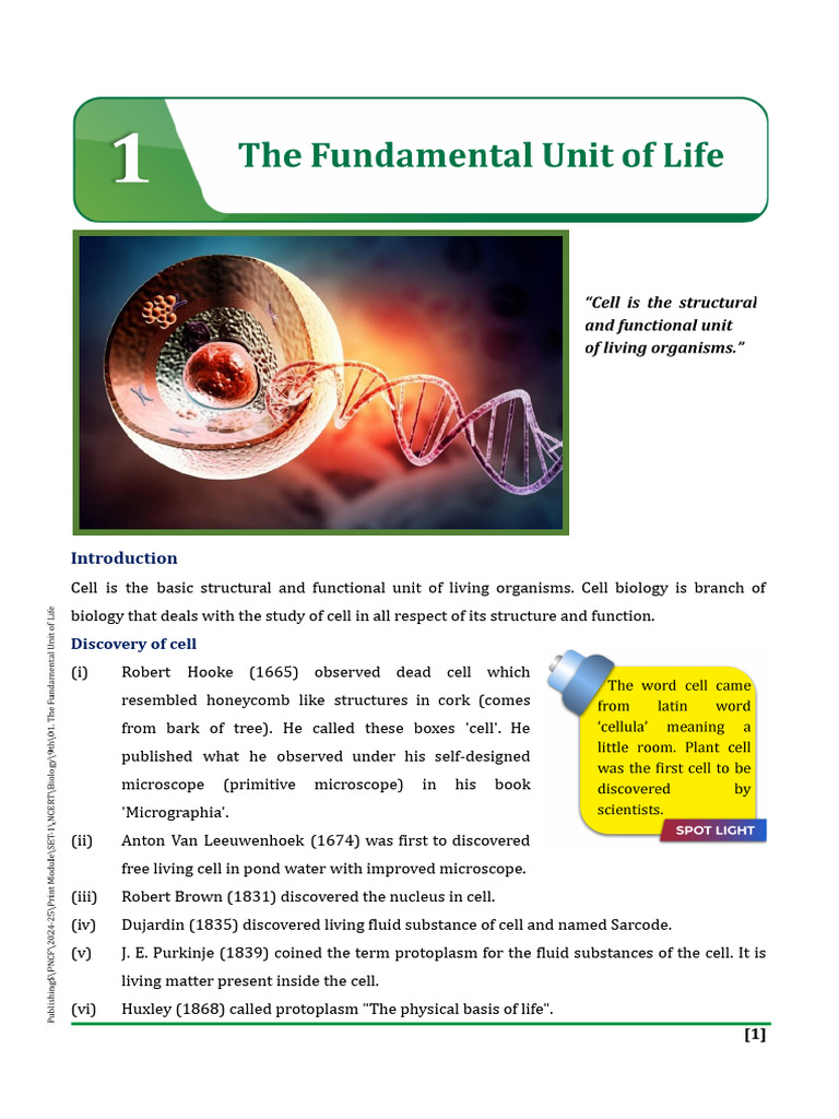 Overview of Cell Biology and Discoveries | PDF | Endoplasmic Reticulum ...