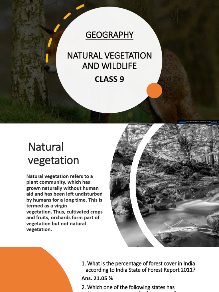 Natural Vegetation and Wildlife Overview | PDF | Forests | Trees
