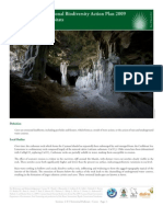 Cayman Islands National Biodiversity Action Plan 2009 2.T.5 Terrestrial Habitats Caves