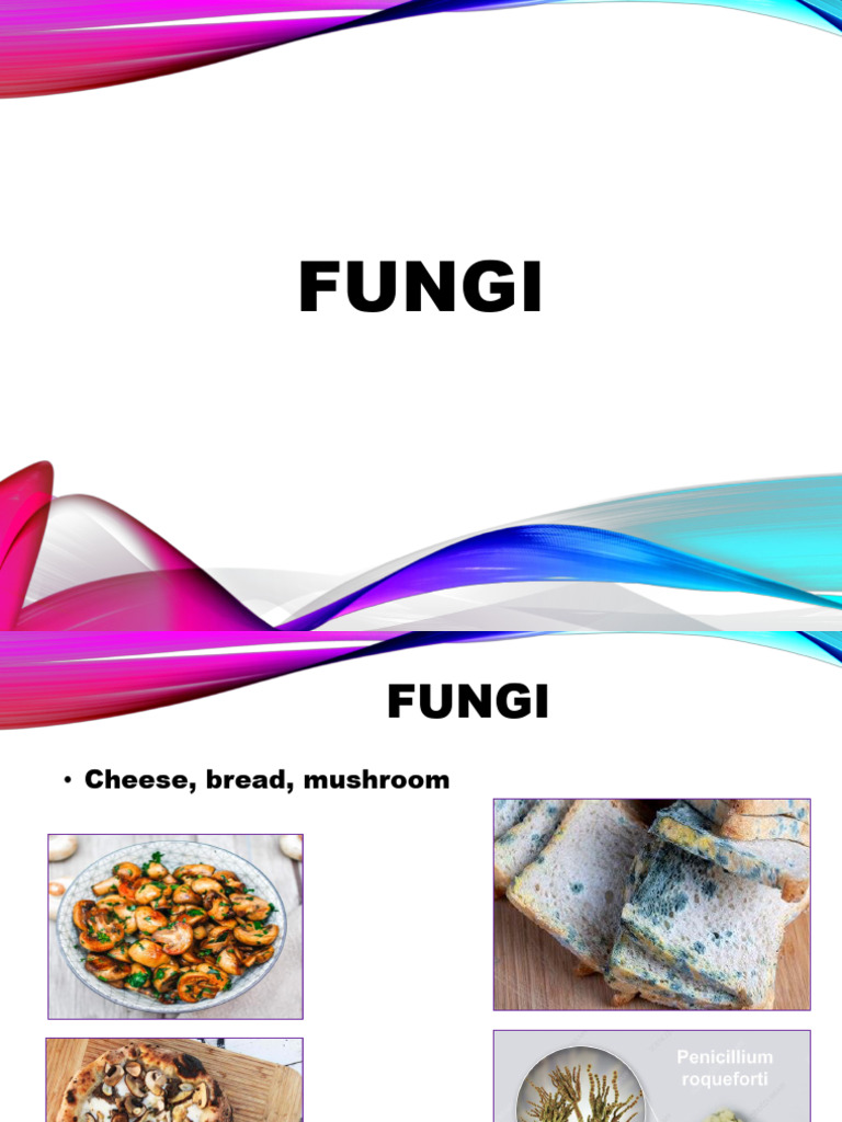 Fungi | PDF