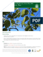 Banara Caymanensis: Cayman Islands National Biodiversity Action Plan 2009 3.T.1.9 Terrestrial Species - Plants