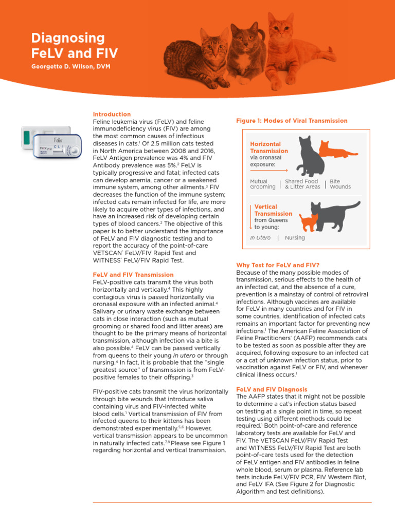 FeLV/FIV Testing and Diagnostic Accuracy | PDF | Infection | Virus