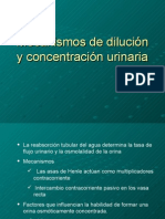 Mecanismos de Dilución y Concentración Urinaria