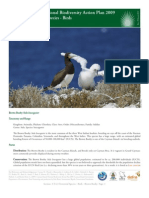 Cayman Islands National Biodiversity Action Plan 2009 3.T.4.3 Terrestrial Species - Birds Brown Booby