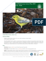 Cayman Islands National Biodiversity Action Plan 2009 3.T.4.6 Terrestrial Species - Birds Vitelline Warbler