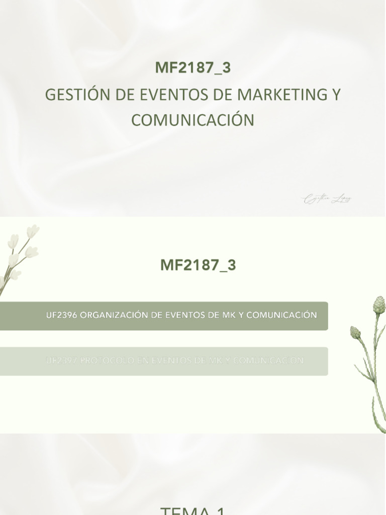 Estrategias de Marketing y Eventos Empresariales | PDF | Publicidad ...