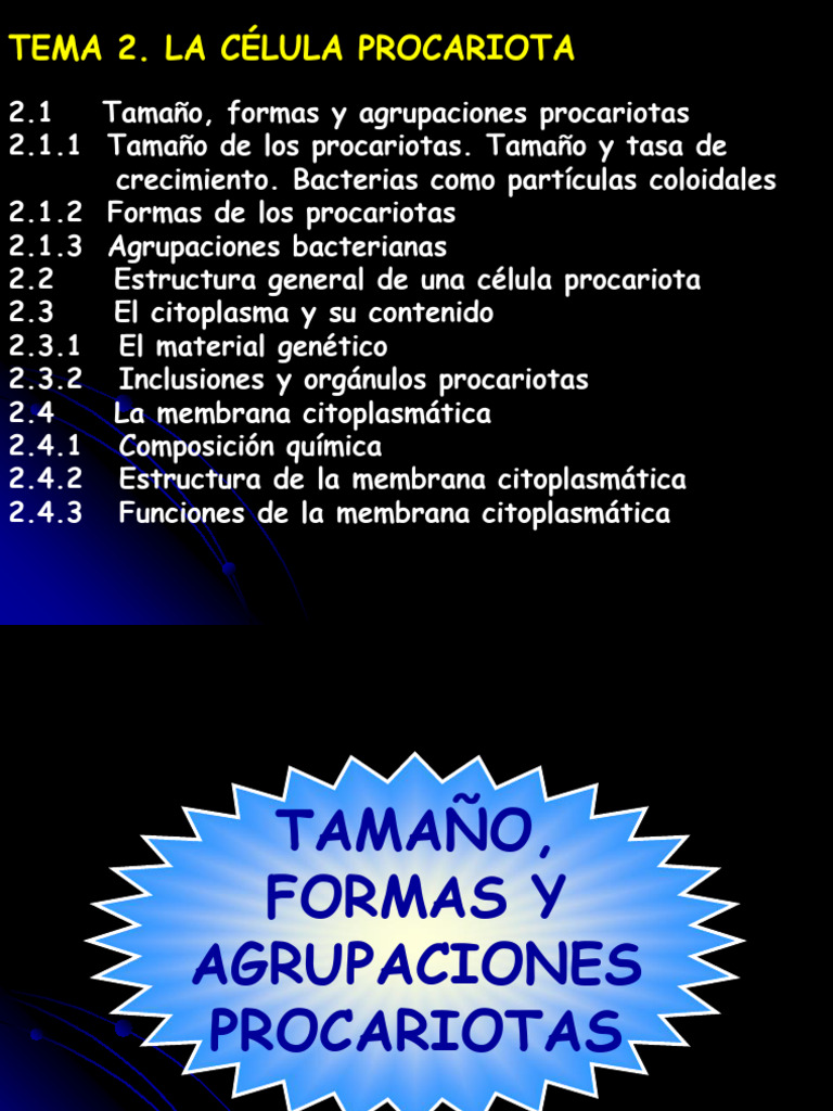 Estructura y características de células procariotas | PDF | Las ...