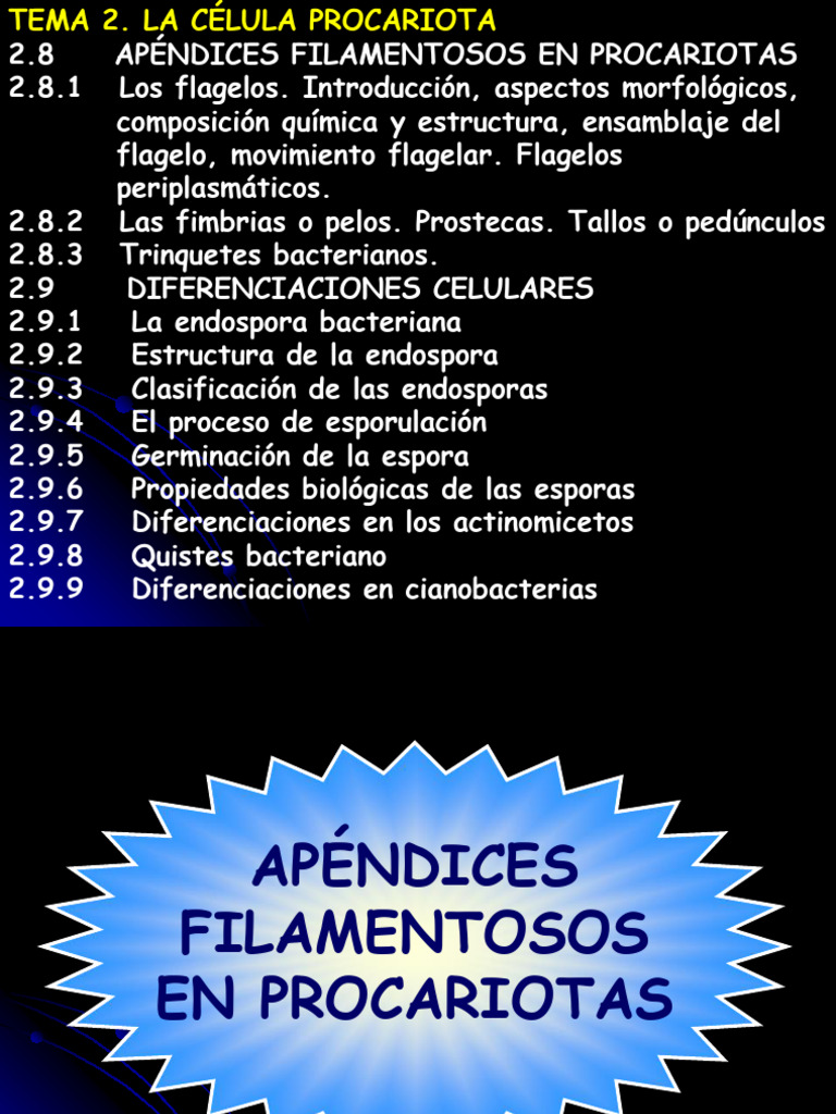 Estructura y Función de Flagelos en Procariotas | PDF | Las bacterias ...