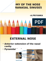 Anatomy of The Nose and Paranasal Sinuses