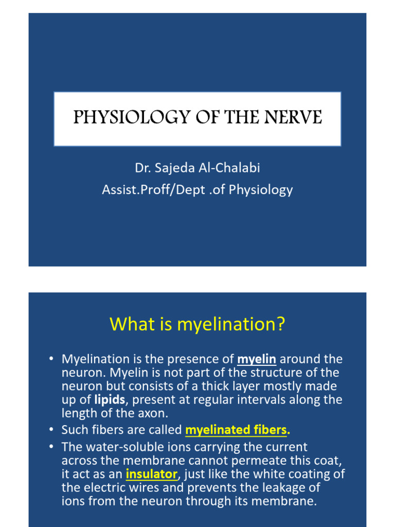 Understanding Myelination and Nerve Conduction | PDF | Myelin | Action ...