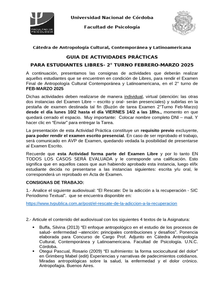 Actividad Practica Libres - 2°turno Feb-Marzo 2025 | PDF | Educación en ...