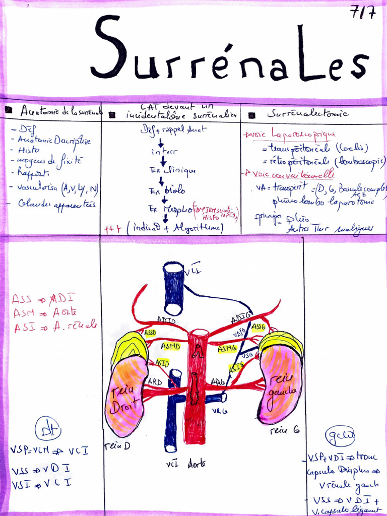 surr-nale-pdf