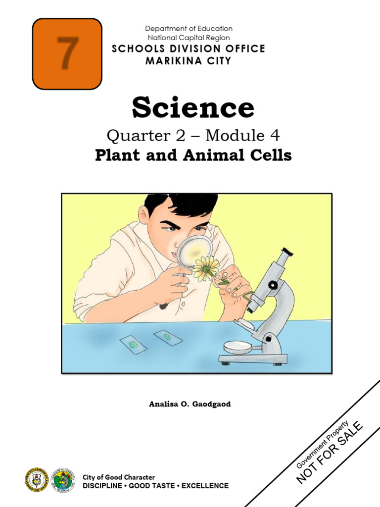 Plant and Animal Cells Overview | PDF | Cell (Biology) | Endoplasmic ...