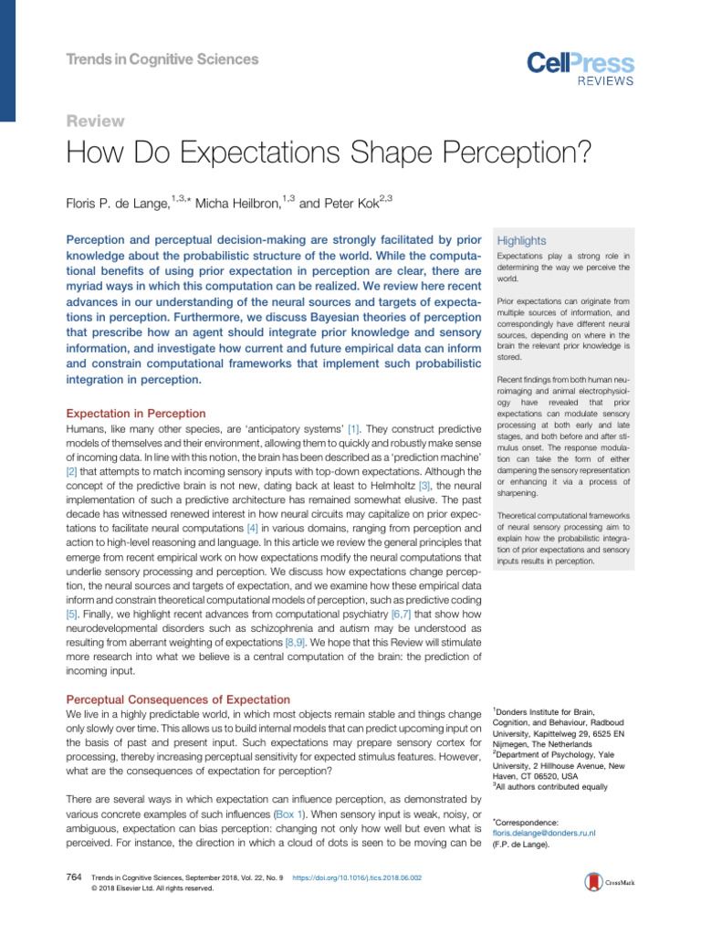 Expectations and Perception Dynamics | PDF | Perception | Visual Cortex