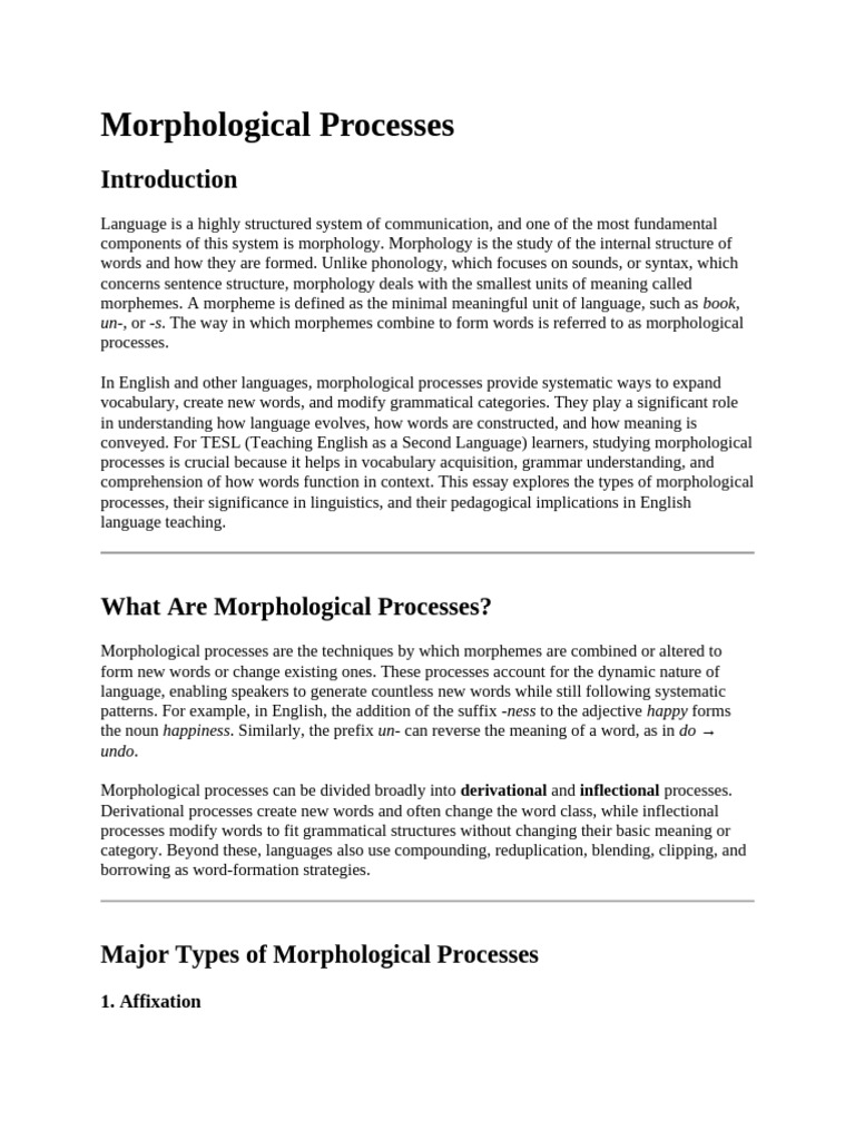 Types of Morphological Processes in English | PDF | Word | Morphology ...