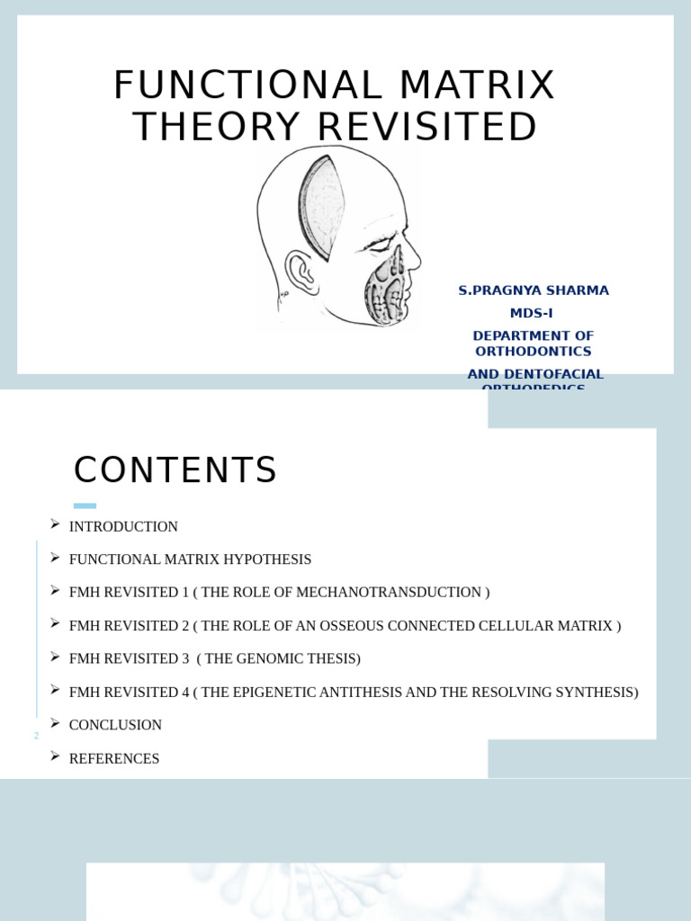 Revisiting Functional Matrix Theory | PDF | Extracellular Matrix | Gene