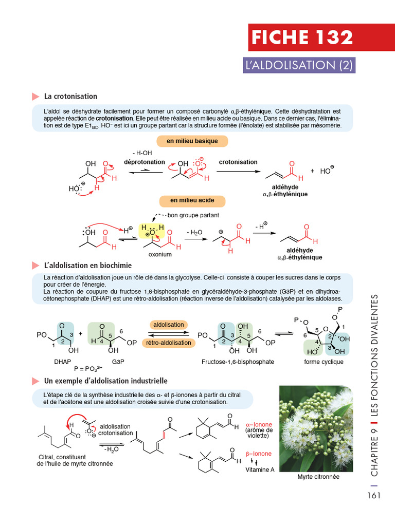 Mécanismes d'aldolisation et crotonisation | PDF | Chimie | Réaction ...