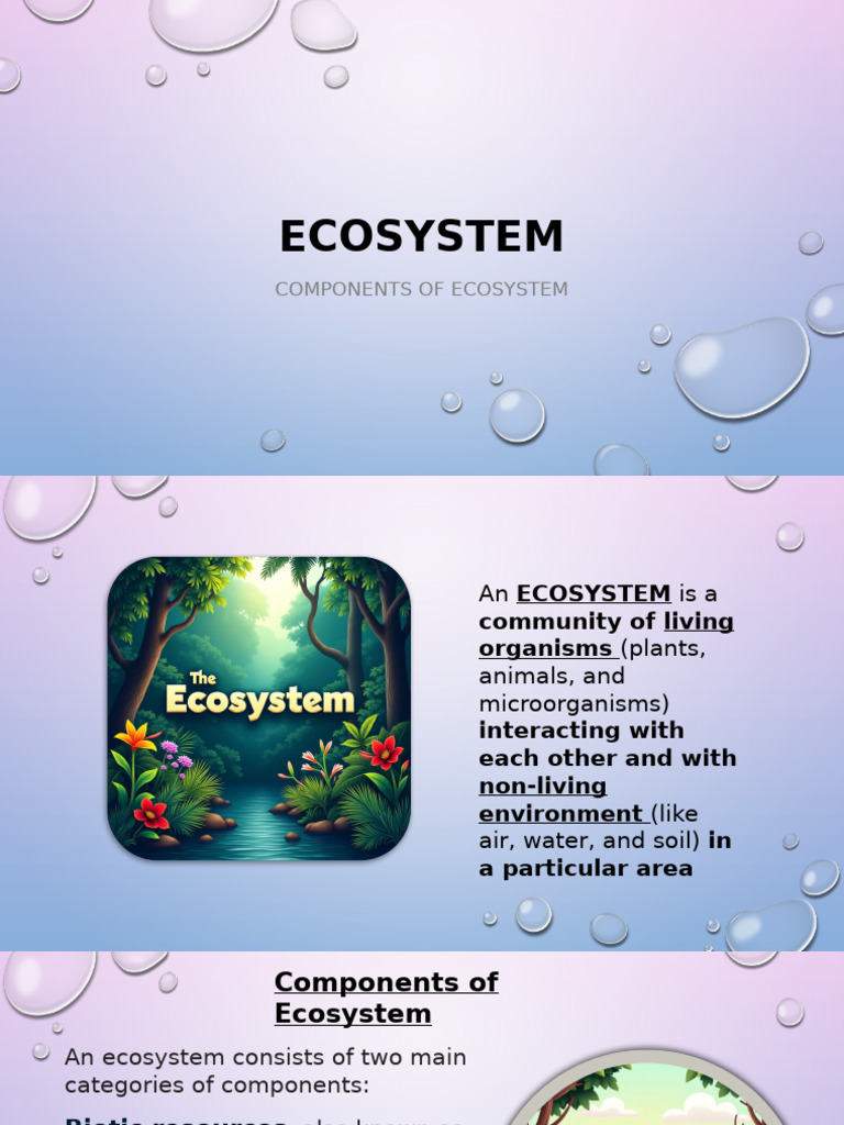Ecosystem | PDF | Ecosystem | Soil