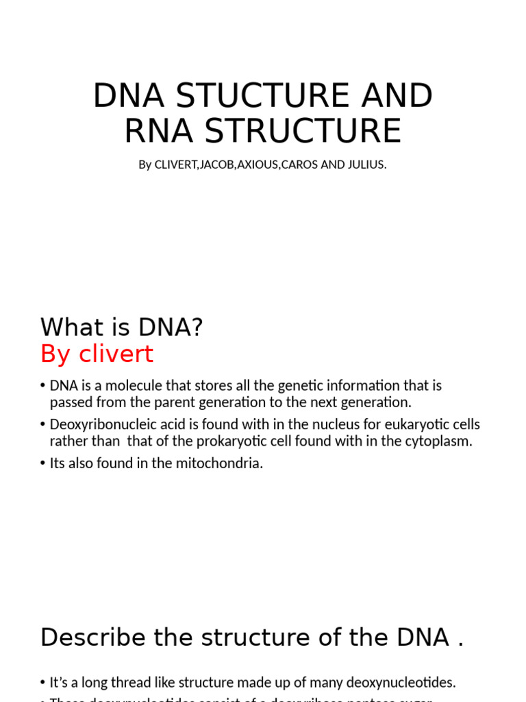 DNA Structure and RNA Structure | PDF | Dna | Rna