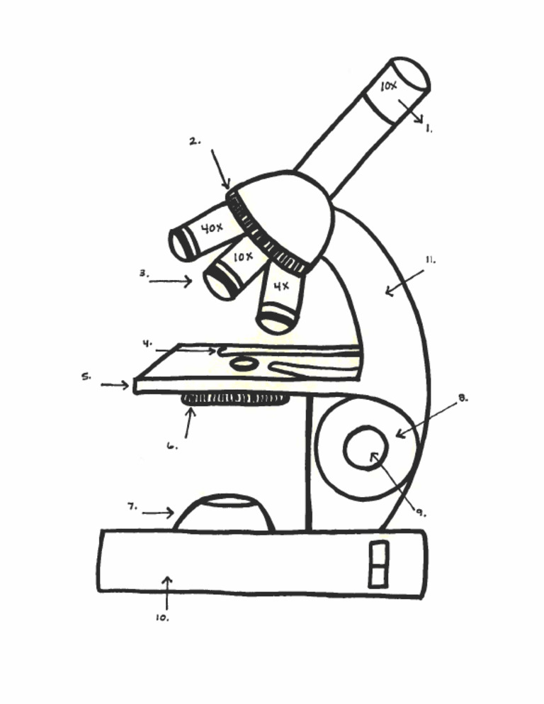 LabelingPartsofaMicroscopeDiagram 1 | PDF