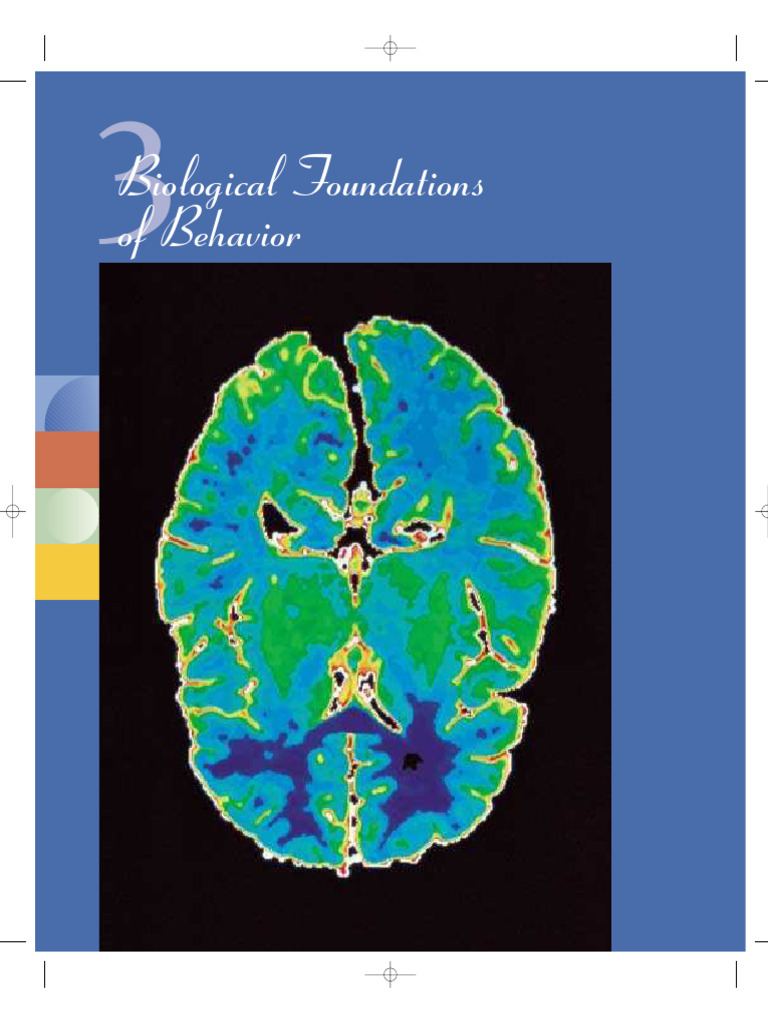 Pyscho | PDF | Chemical Synapse | Synapse