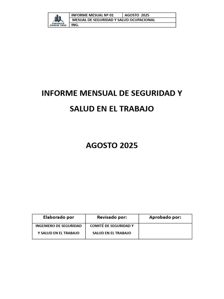 Informe Mensual de Seguridad 2025 | PDF | Seguridad y salud ocupacional