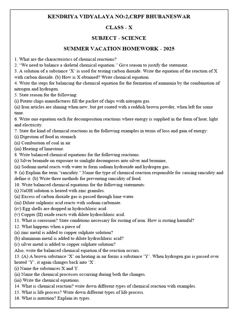 Class X Science Homework 2025 | PDF | Chemical Reactions | Chemical ...
