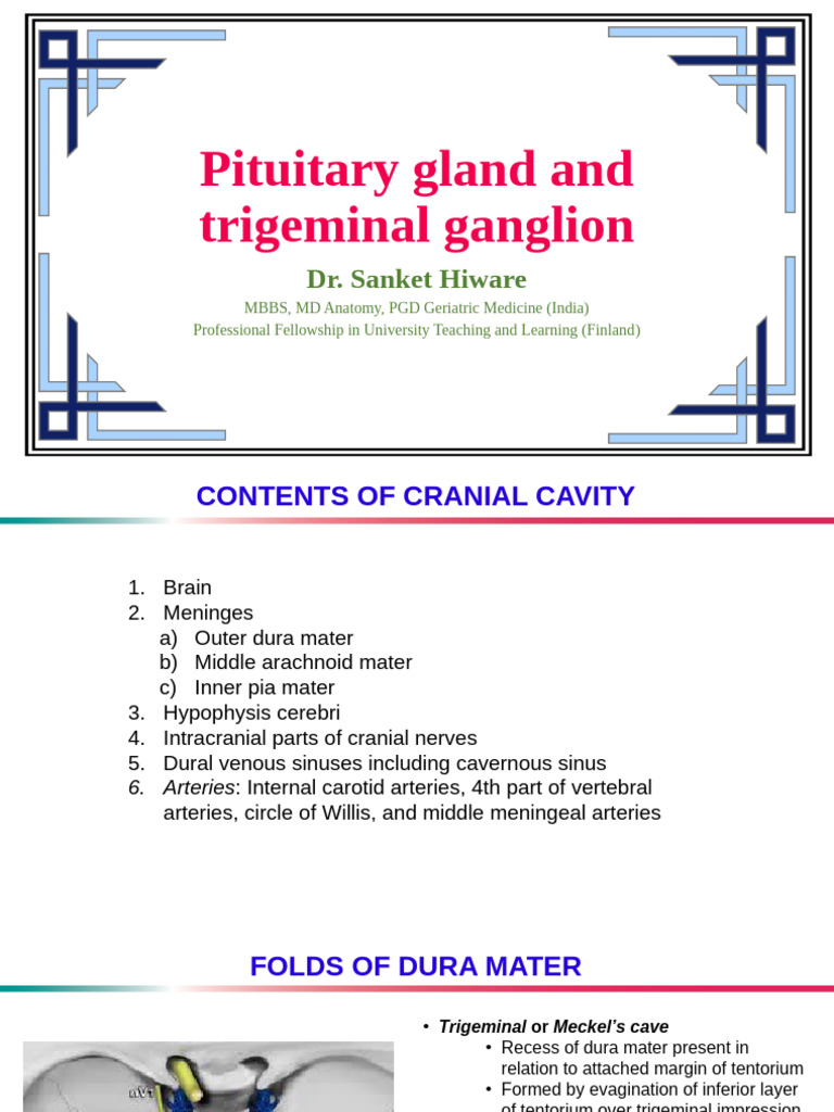 Pituitary Gland and Trigeminal Ganglion - Dr. Sanket Hiware | PDF ...
