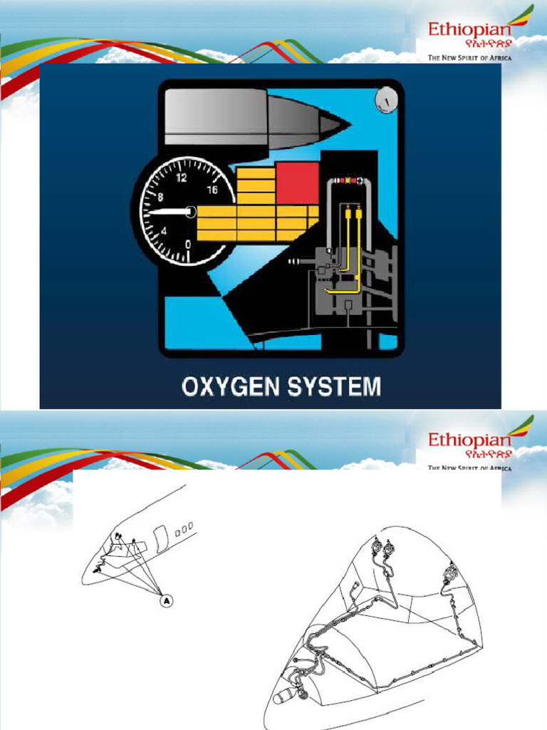 Oxygen System Components Overview | PDF