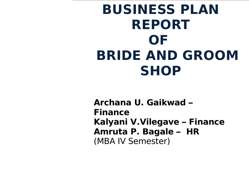 Business Plan Report PDF