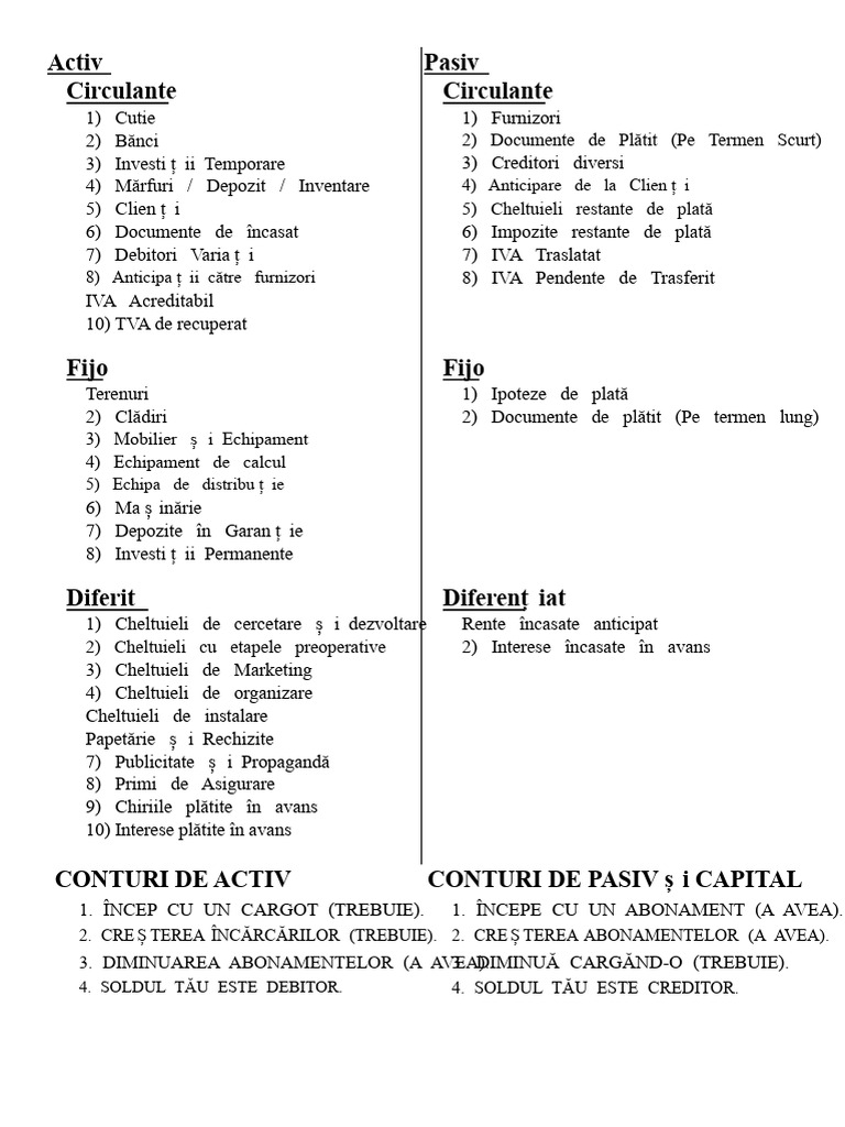 Lista de Conturi Active Și Pasive | PDF