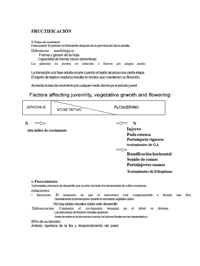 Fructificación en árboles frutales: procesos y factores | PDF | Flores ...