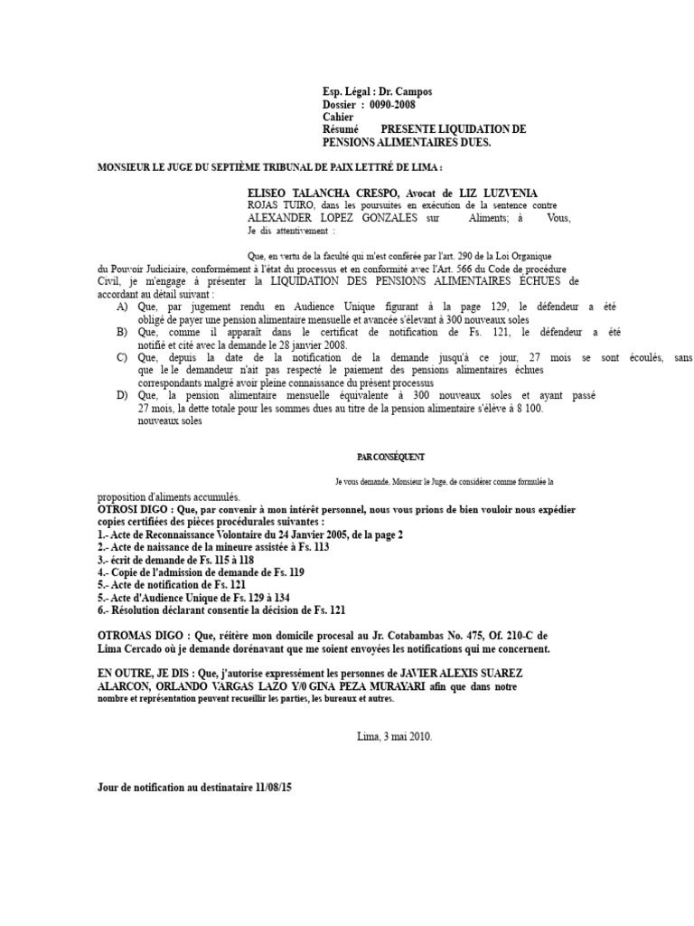 Liquidation de Pensions Alimentaires Dues | PDF | Loi publique | Justice