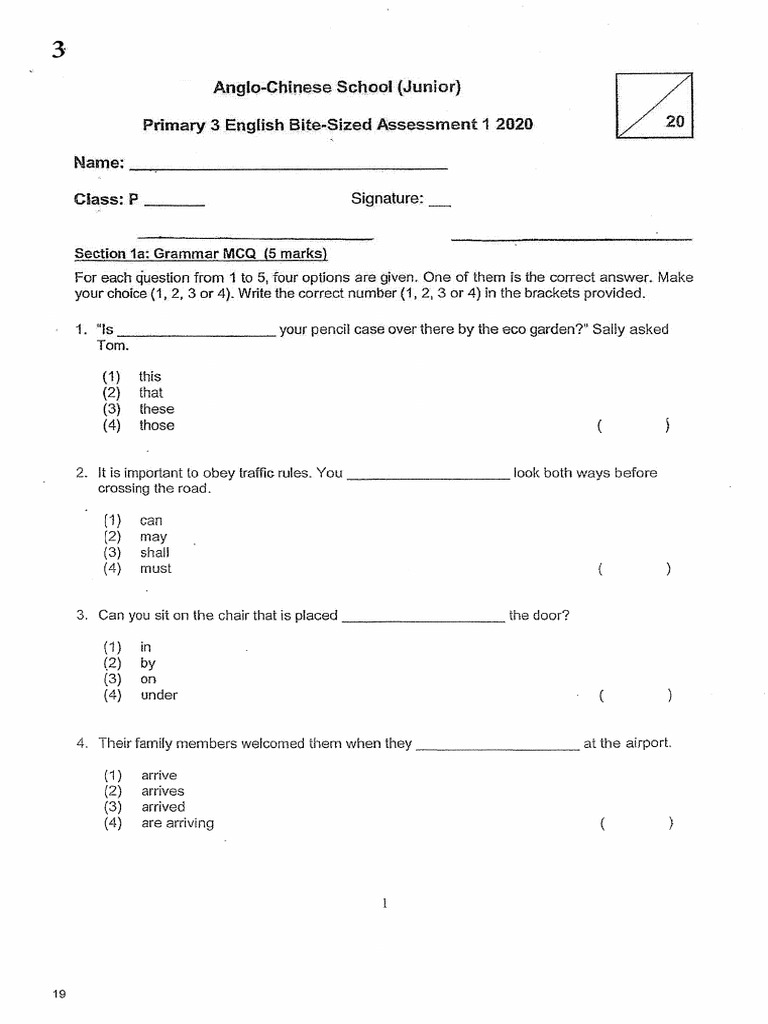 P3 English CA1 2020 ACSJ Exam Papers | PDF