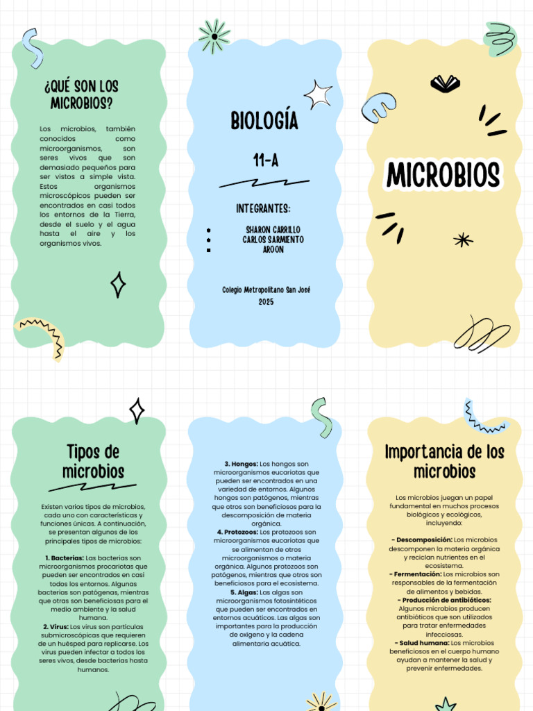 Tipos y funciones de los microbios | PDF | Microorganismo | Las bacterias