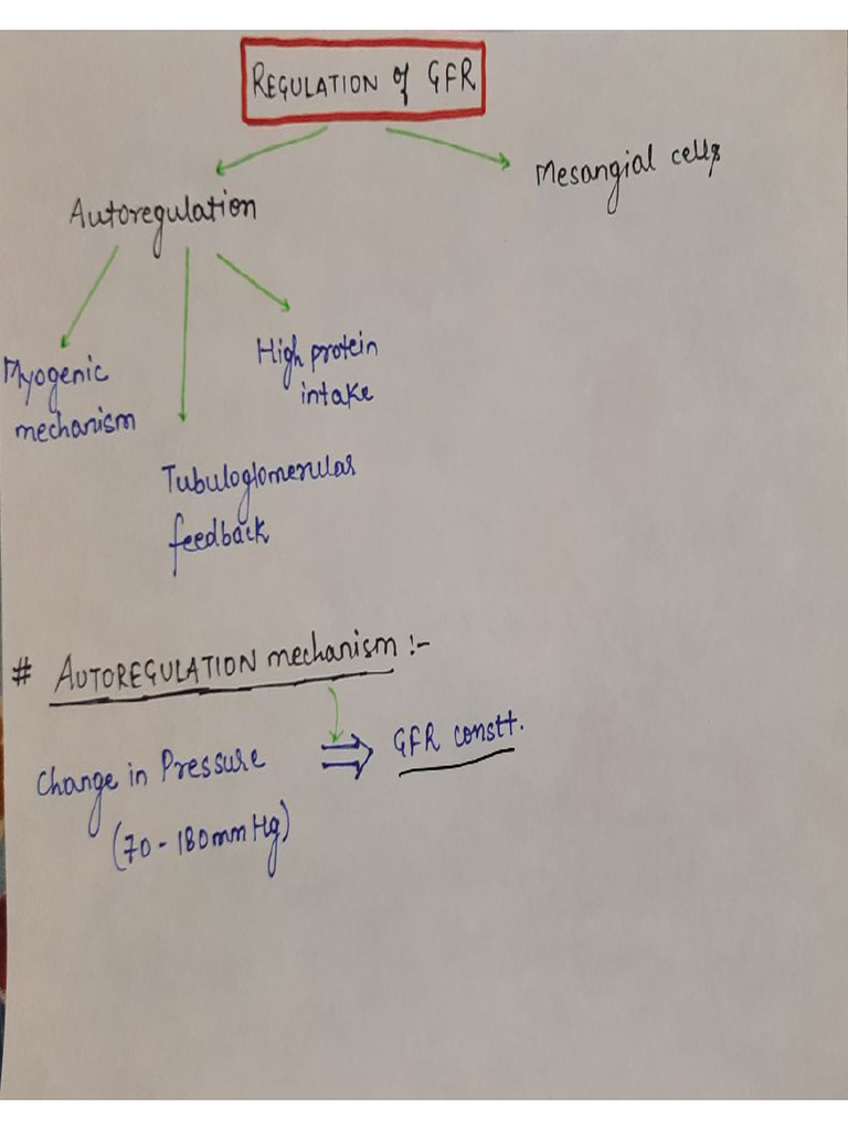 Regulation of GFR Renal Physiology | PDF