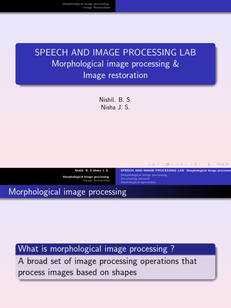 Morphology Restoration | PDF | Computer Vision | Natural Philosophy