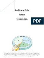 Looking at Cells Unit:6 Commission