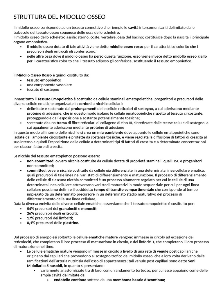Struttura Del Midollo Osseo | PDF