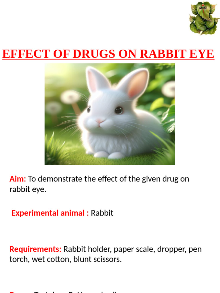 Drug Effects on Rabbit Eye Experiment | PDF | Human Eye | Ophthalmology