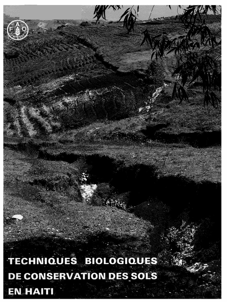 Conservation des sols en Haïti | PDF | Ingénieur | Ruissellement