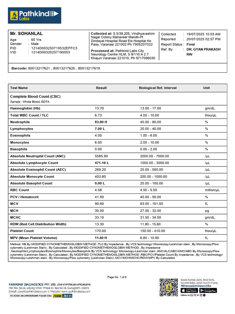 Comprehensive Blood Test Results | PDF | Blood | Tissue (Biology)