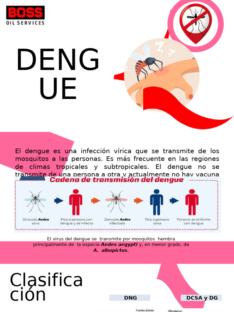 Presentación Dengue | PDF