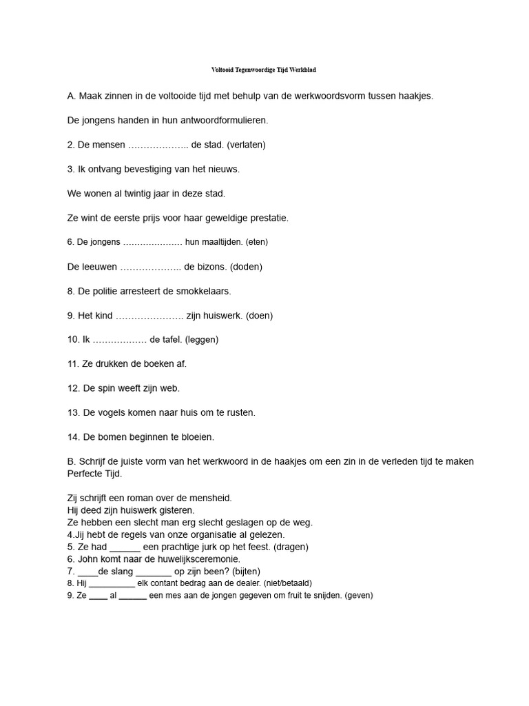 Perfecte Tijd Werkblad | PDF