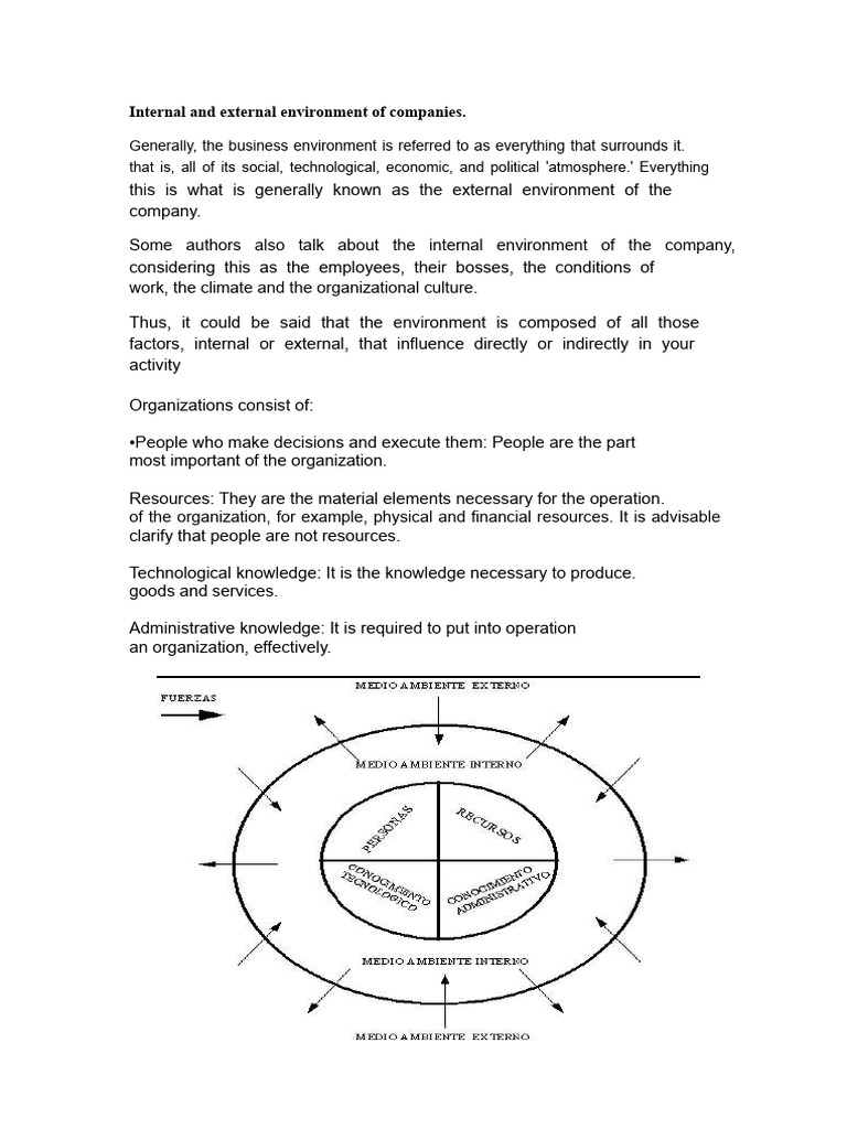 Internal and External Environment of Management Companies | PDF ...