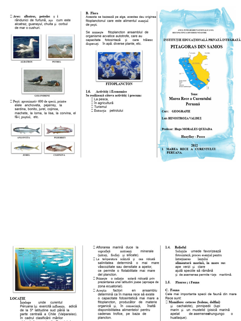 Triptic Mar Frig | PDF