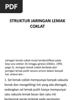Download Struktur Jaringan Lemak Coklat by Muhammad Agus Nashir SN91206196 doc pdf