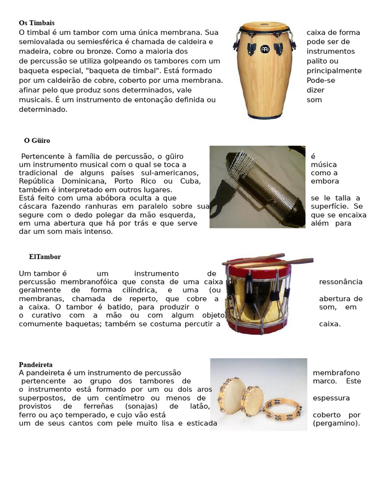 Instrumentos Musicais de Percussão e Cordas | PDF | Guitarras ...