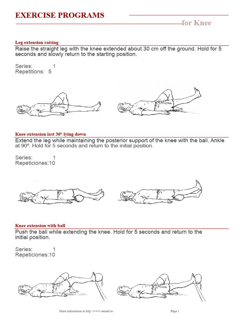 Knee Exercise Program Guide | PDF | Knee | Human Anatomy